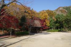 ふれあい公園の紅葉